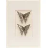 Card Twin Butterfly Paint Drops Grey*