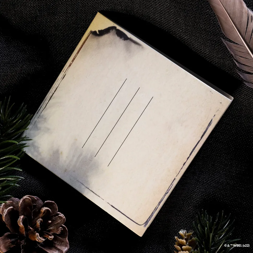 Harry Potter Necklace Medallion Golden Egg