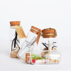 Message in a Bottle Rose Red