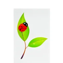 Small Card Ladybird Leaf